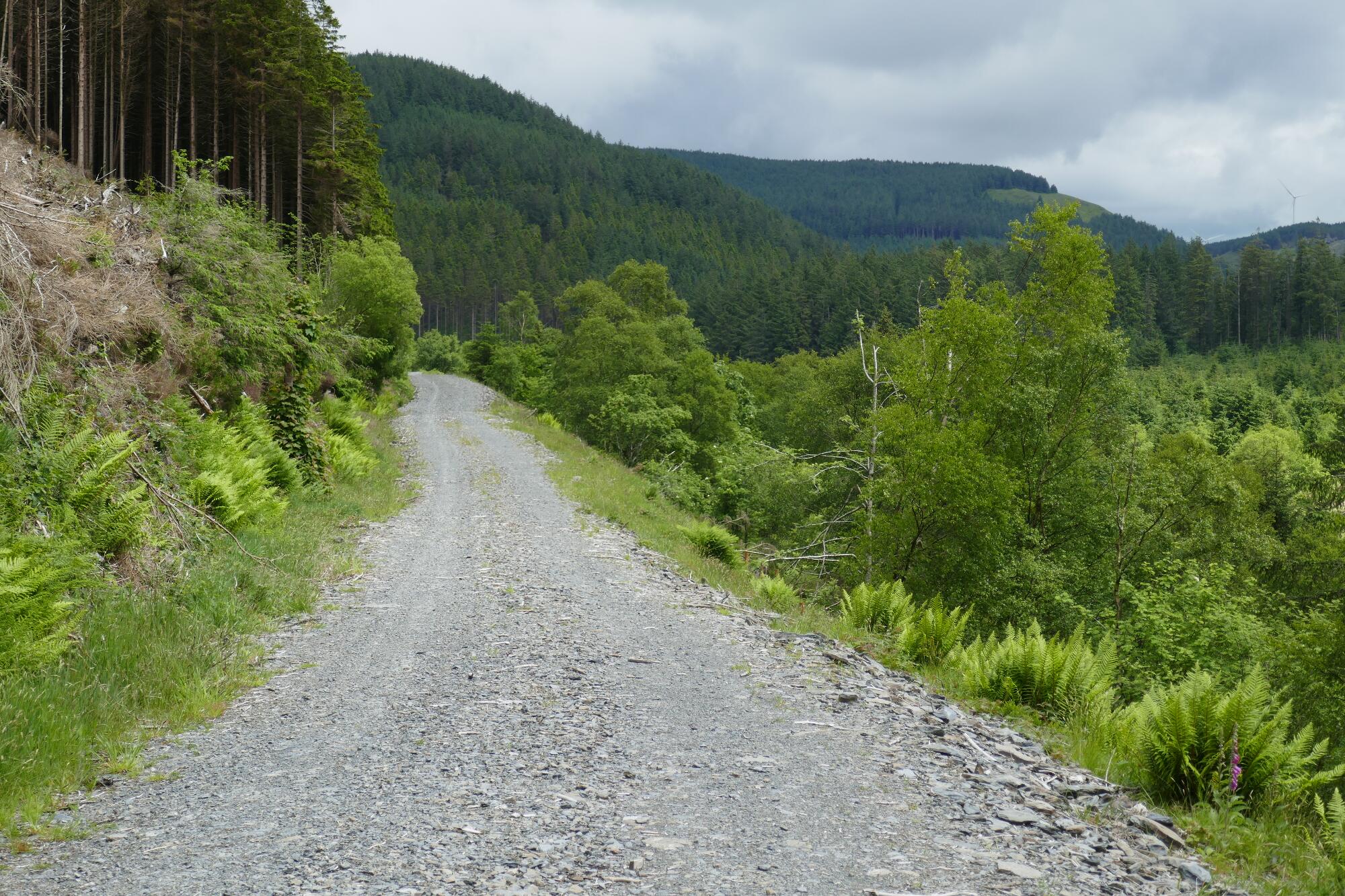 RachelSeabrook.net | Wild Walking | Devils-Bridge; pic37